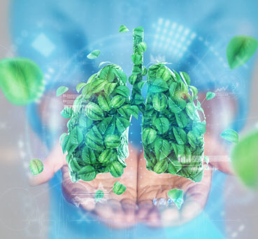 Breathing Easy: Simple Habits for Better Lung Health and Wellness