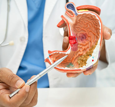 The Journey to Better Digestive Health: Identifying Issues with Gastroscopy